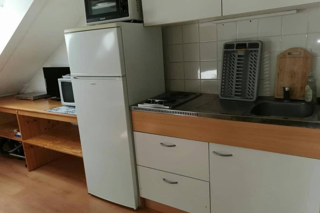 Petit Studio Mansarde 18 M2 Avec Navette Gratuit Aux Pistes De Ski Gresse-en-Vercors Zewnętrze zdjęcie